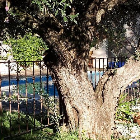 La Cartagene - Chambre Double Calvisson Εξωτερικό φωτογραφία