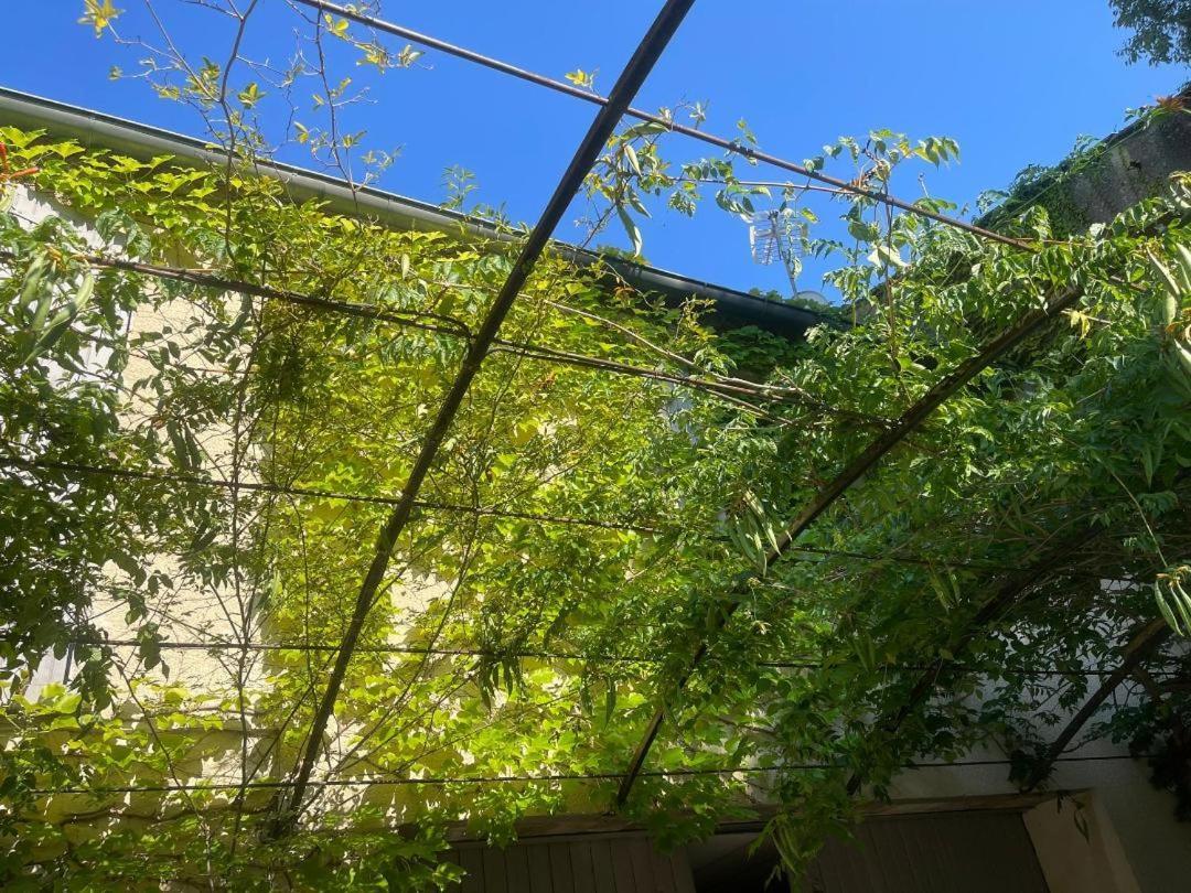 La Cartagene - Chambre Double Calvisson Εξωτερικό φωτογραφία