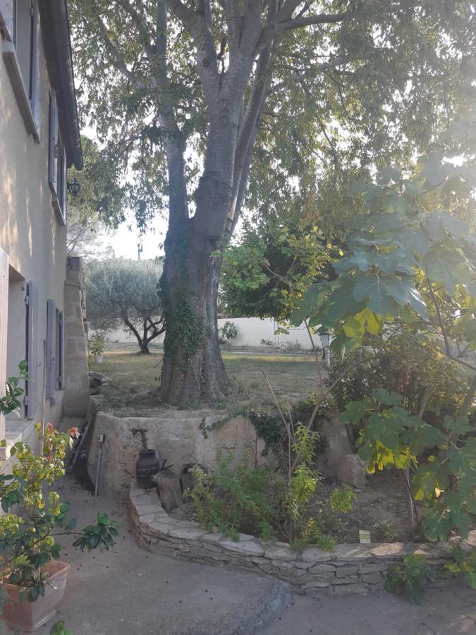 La Cartagene - Chambre Double Calvisson Εξωτερικό φωτογραφία
