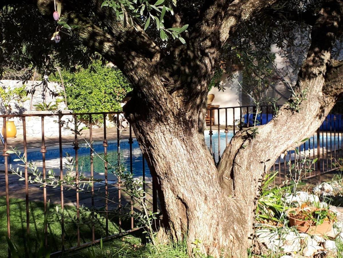 La Cartagene - Chambre Double Calvisson Εξωτερικό φωτογραφία